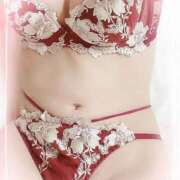 ヒメ日記 2025/10/12 11:14 投稿 のあ♡かわE★小動物美少女♡ 即生専門店ゴッドパイ