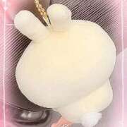 ヒメ日記 2025/10/19 10:04 投稿 のあ♡かわE★小動物美少女♡ 即生専門店ゴッドパイ