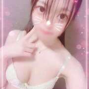 ヒメ日記 2025/10/20 01:04 投稿 のあ♡かわE★小動物美少女♡ 即生専門店ゴッドパイ