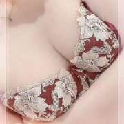 ヒメ日記 2025/10/24 02:09 投稿 のあ♡かわE★小動物美少女♡ 即生専門店ゴッドパイ