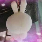 ヒメ日記 2025/10/25 05:44 投稿 のあ♡かわE★小動物美少女♡ 即生専門店ゴッドパイ