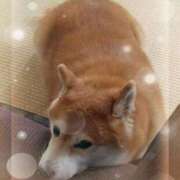 ヒメ日記 2025/11/18 02:48 投稿 のあ♡かわE★小動物美少女♡ 即生専門店ゴッドパイ