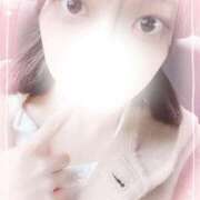 ヒメ日記 2025/11/18 16:04 投稿 のあ♡かわE★小動物美少女♡ 即生専門店ゴッドパイ