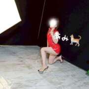 ヒメ日記 2025/05/17 00:06 投稿 あみ カワサキ EROTIC