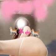 ヒメ日記 2025/07/17 15:09 投稿 あみ カワサキ EROTIC