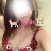 ヒメ日記 2025/09/25 17:08 投稿 あみ カワサキ EROTIC