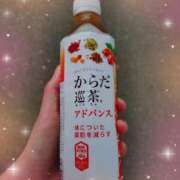 ヒメ日記 2025/05/09 10:58 投稿 しずく チューリップ土浦店