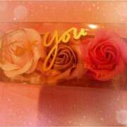 ヒメ日記 2025/08/19 13:04 投稿 しずく チューリップ土浦店