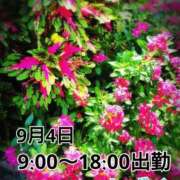 ヒメ日記 2025/09/03 14:18 投稿 しずく チューリップ土浦店
