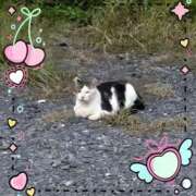 ヒメ日記 2025/09/24 08:58 投稿 しずく チューリップ土浦店