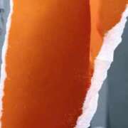 ヒメ日記 2025/09/25 10:38 投稿 しずく チューリップ土浦店