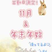 ヒメ日記 2025/10/29 10:14 投稿 しずく チューリップ土浦店