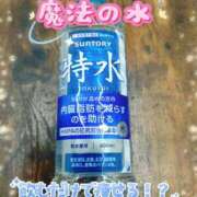 ヒメ日記 2025/11/18 09:18 投稿 しずく チューリップ土浦店