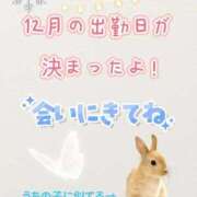 ヒメ日記 2025/11/24 09:08 投稿 しずく チューリップ土浦店