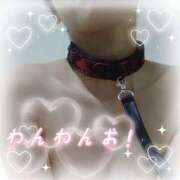 ヒメ日記 2025/11/30 09:48 投稿 しずく チューリップ土浦店