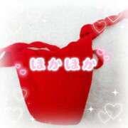 ヒメ日記 2025/12/18 16:38 投稿 しずく チューリップ土浦店