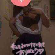 ヒメ日記 2025/06/14 17:29 投稿 こむぎ Lesson.1沖縄校