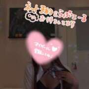 ヒメ日記 2025/07/01 13:29 投稿 こむぎ Lesson.1沖縄校