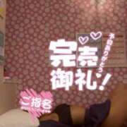 ヒメ日記 2025/07/17 00:31 投稿 こむぎ Lesson.1沖縄校