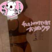 ヒメ日記 2025/09/05 14:31 投稿 こむぎ Lesson.1沖縄校