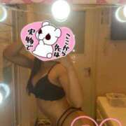 ヒメ日記 2025/09/08 10:30 投稿 こむぎ Lesson.1沖縄校