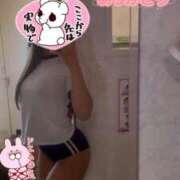 こむぎ ご無沙汰ですｩ🥹 Lesson.1沖縄校