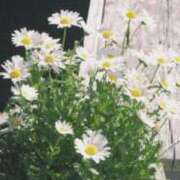 ヒメ日記 2025/09/08 15:51 投稿 一ノ瀬　ゆき ナディア（奈良）