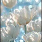 ヒメ日記 2025/09/21 14:51 投稿 一ノ瀬　ゆき ナディア（奈良）