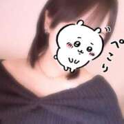 ヒメ日記 2025/05/02 13:19 投稿 イノリ ツートップ