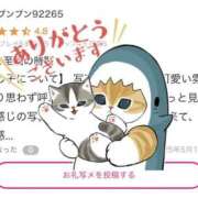 ヒメ日記 2025/05/14 13:03 投稿 イノリ ツートップ