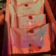 さき 今週のお礼 癒 -いやし‐