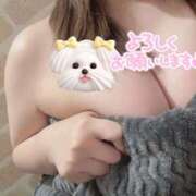 ヒメ日記 2026/04/05 13:16 投稿 しいな『ガール』 ディオーネ