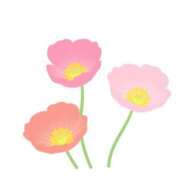 ヒメ日記 2025/05/31 19:55 投稿 森口（もりぐち） 熟女の風俗最終章 大宮店