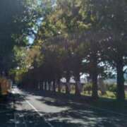 ヒメ日記 2025/06/02 13:14 投稿 森口（もりぐち） 熟女の風俗最終章 大宮店