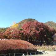 ヒメ日記 2025/12/03 09:35 投稿 森口（もりぐち） 熟女の風俗最終章 大宮店