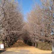 ヒメ日記 2025/12/07 22:15 投稿 森口（もりぐち） 熟女の風俗最終章 大宮店