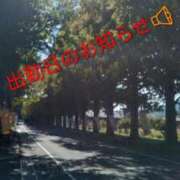 ヒメ日記 2026/01/16 10:55 投稿 森口（もりぐち） 熟女の風俗最終章 大宮店