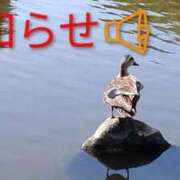 ヒメ日記 2026/01/25 13:35 投稿 森口（もりぐち） 熟女の風俗最終章 大宮店