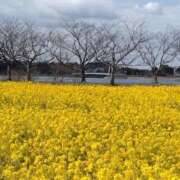 ヒメ日記 2026/01/30 11:57 投稿 森口（もりぐち） 熟女の風俗最終章 大宮店