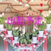 ヒメ日記 2026/02/28 10:05 投稿 森口（もりぐち） 熟女の風俗最終章 大宮店