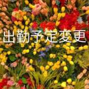 ヒメ日記 2026/03/03 10:05 投稿 森口（もりぐち） 熟女の風俗最終章 大宮店