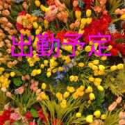 ヒメ日記 2026/04/08 18:25 投稿 森口（もりぐち） 熟女の風俗最終章 大宮店