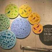 ここあ るん SOPHIA（ソフィア）