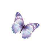 ヒメ日記 2025/07/14 13:09 投稿 はな. クラブA