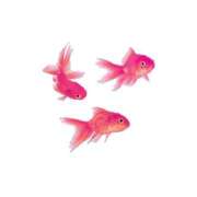 ヒメ日記 2025/07/16 21:12 投稿 はな. クラブA