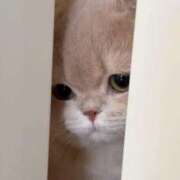 ヒメ日記 2025/05/05 12:36 投稿 ゆん 秋葉原コスプレ学園in西川口