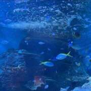 ヒメ日記 2025/05/09 17:40 投稿 きょうか 熟女の風俗最終章 蒲田店