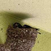 ヒメ日記 2025/05/23 20:34 投稿 きょうか 熟女の風俗最終章 蒲田店