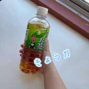 ヒメ日記 2025/07/31 17:32 投稿 きょうか 熟女の風俗最終章 蒲田店