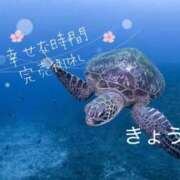 ヒメ日記 2026/03/04 10:12 投稿 きょうか 熟女の風俗最終章 蒲田店